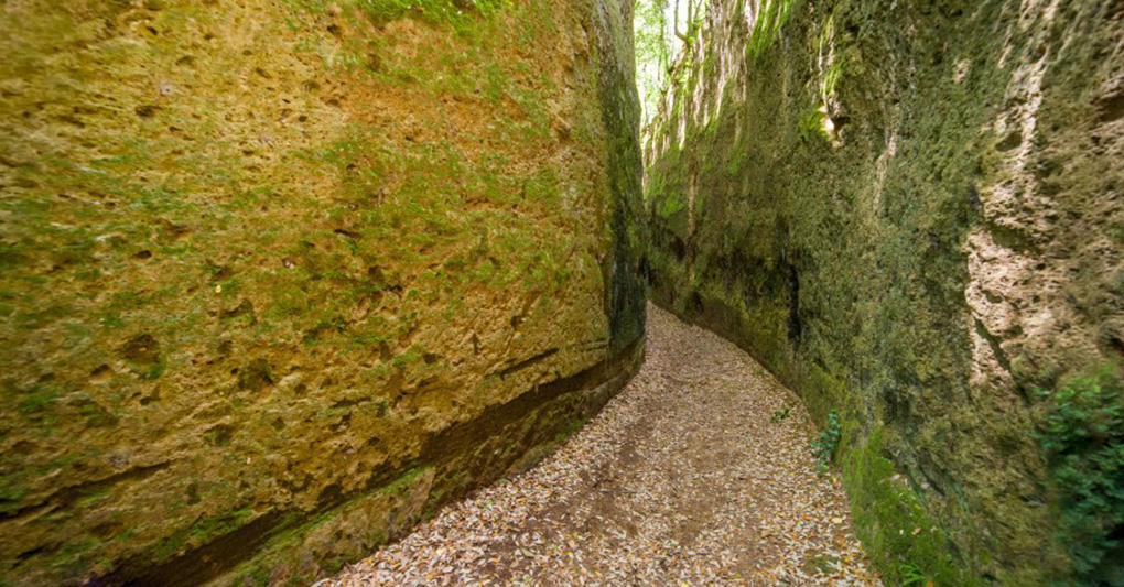 Toscana: camminando e correndo lungo le Vie Cave episode artwork
