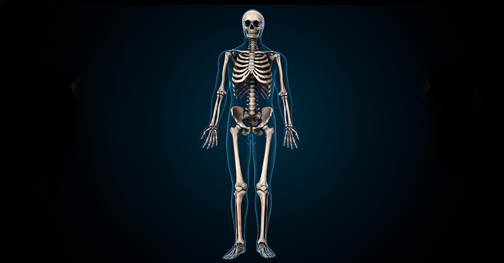 Longevità ossea: come proteggere il nostro scheletro