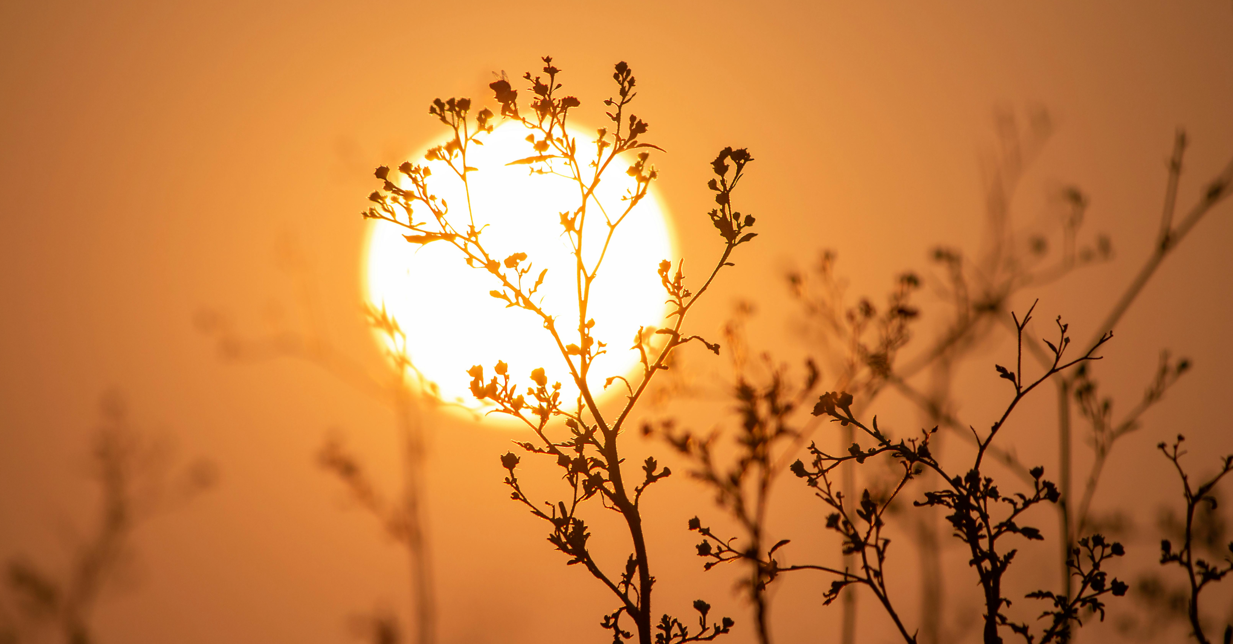 Clima, il nuovo allarme dell'ONU