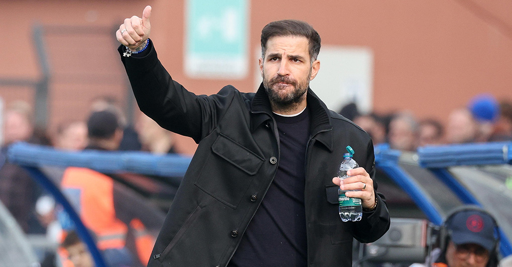 A chi piace Fabregas? A chi piace Fabregas?