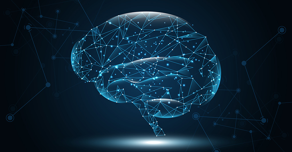 La mente in azione: quando il cervello pensa e sente