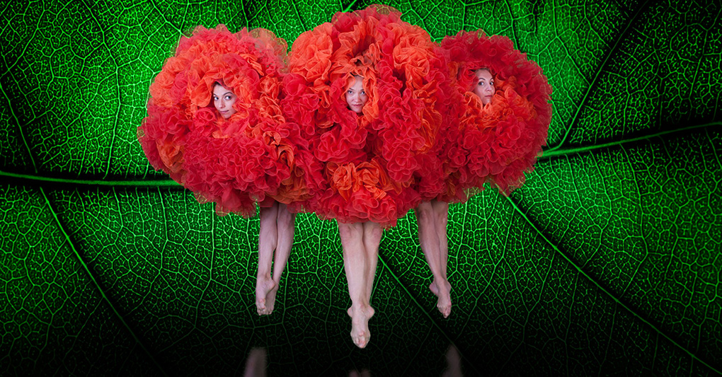 Momix a Bologna, Krapp all'Elfo, Cenerentola di Punzo alla Pergola, a Parma Racconto d'inverno di McNeill episode artwork