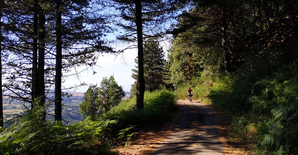 Calabria: in bici tra Pollino, Sila, Serre e Aspromonte e la Riviera dei Cedri episode artwork