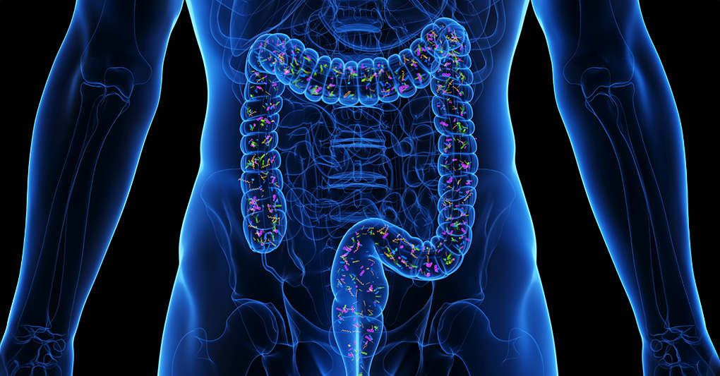 Allenare il microbiota per stare meglio ogni giorno