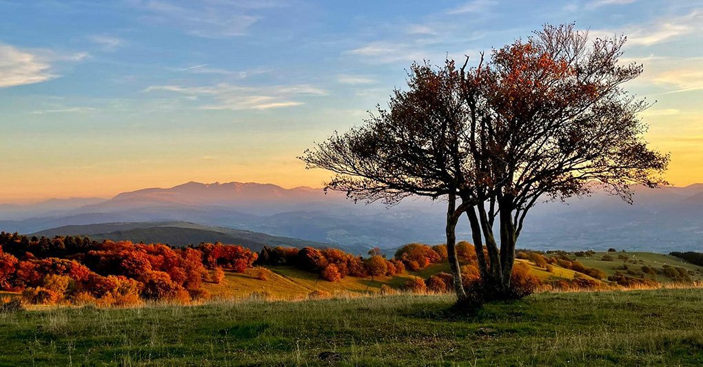 Marche: il Cammino delle Abbazie e i Sentieri per tutti episode artwork