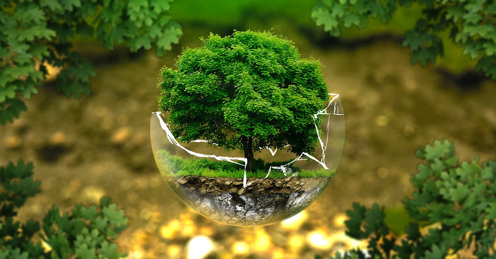 PNR - Piano Nazionale di Ripristino della Natura