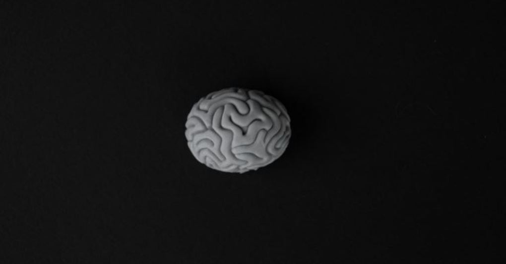 Il cervello non va in vacanza (ma il caldo lo mette a dura prova)