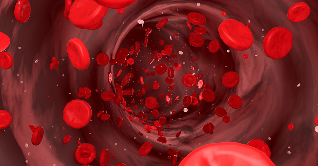 Il sangue racconta la vita