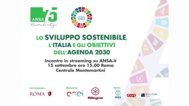 Lo Sviluppo Sostenibile L Italia E Gli Obbiettivi Dell Agenda 30 Il Sole 24 Ore