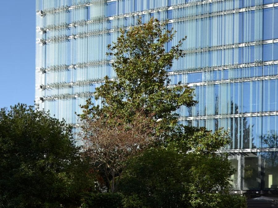 Sede Société Privéé De Gérance (Spg) a Ginevra - GiovanniVaccariniArchitetti. (Photo: AdrienBuchet)
