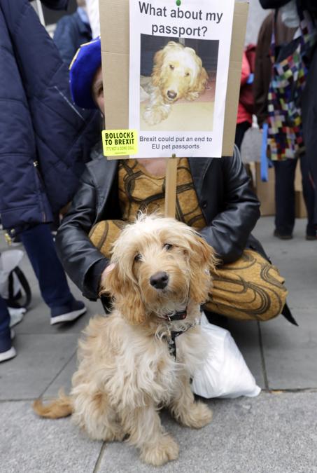 (AP Photo/Kirsty Wigglesworth)