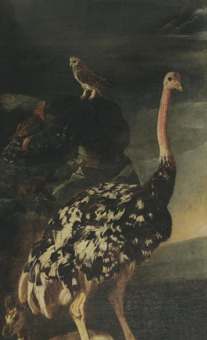 Anonimo olandese, Pandolfo Reschi (1640-1696), Livio Mehus (1627-1691), Ciclo di Orfeo (dettaglio), 1675-1680 circa, olio su tela, Milano, Pinacoteca del Castello Sforzesco (in deposito a Palazzo Sormani, sala del Grechetto e sala dei Putti) (© Comune di Milano-Tutti i diritti riservati)