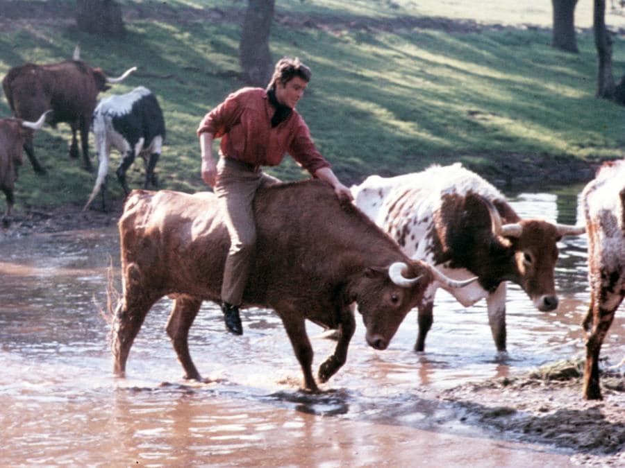 «Texas, oltre il fiume» del 1966 di Michael Gordon, con Alain Delon. (COLLECTION CHRISTOPHEL © Universal Pictures)