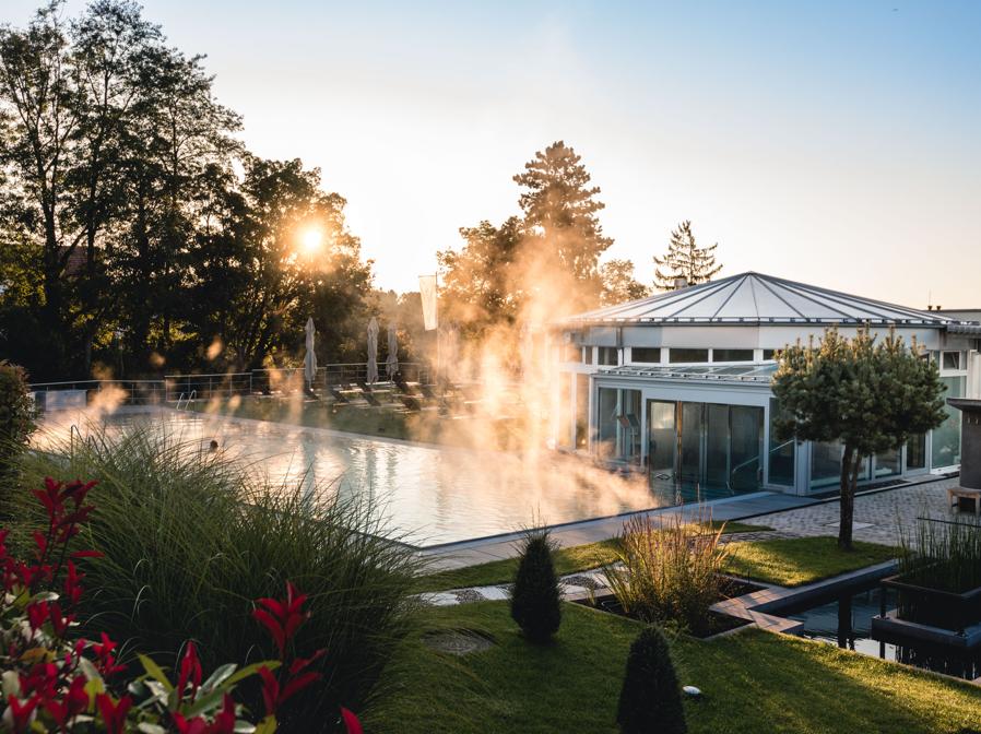 Buchinger Wilhelmi, piscina