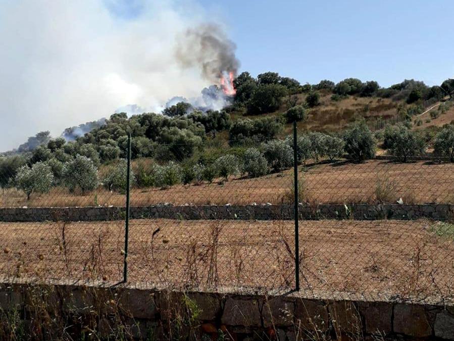 Collina dietro il lido di Orrì a Tortolì (Ogliastra). ANSA/Maria Giovanna Fossati 