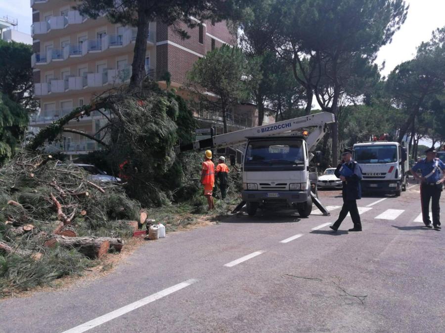 Un'immagine, tratta dal profilo Facebook del Comune di Cervia, che mostra i danni causati dalla tempesta abbattutasi su Milano Marittima. (PROFILO FACEBOOK DEL COMUNE DI CERVIA)