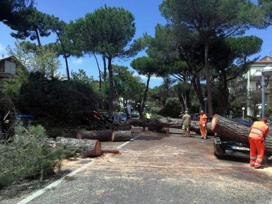 Un'immagine, tratta dal profilo Facebook del Comune di Cervia, che mostra i danni causati dalla tempesta abbattutasi su Milano Marittima. (PROFILO FACEBOOK DEL COMUNE DI CERVIA)