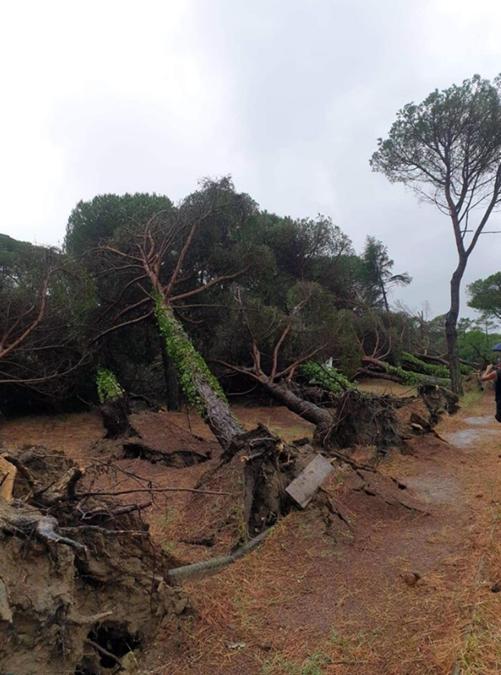 Un'immagine, tratta dal profilo Facebook del Comune di Cervia, che mostra i danni causati dalla tempesta abbattutasi su Milano Marittima. (PROFILO FACEBOOK DEL COMUNE DI CERVIA)