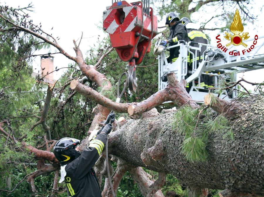 I danni provocati dal maltempo che ha colpito violentemente la provincia di Ancona. (ANSA/ VIGILI DEL FUOCO)