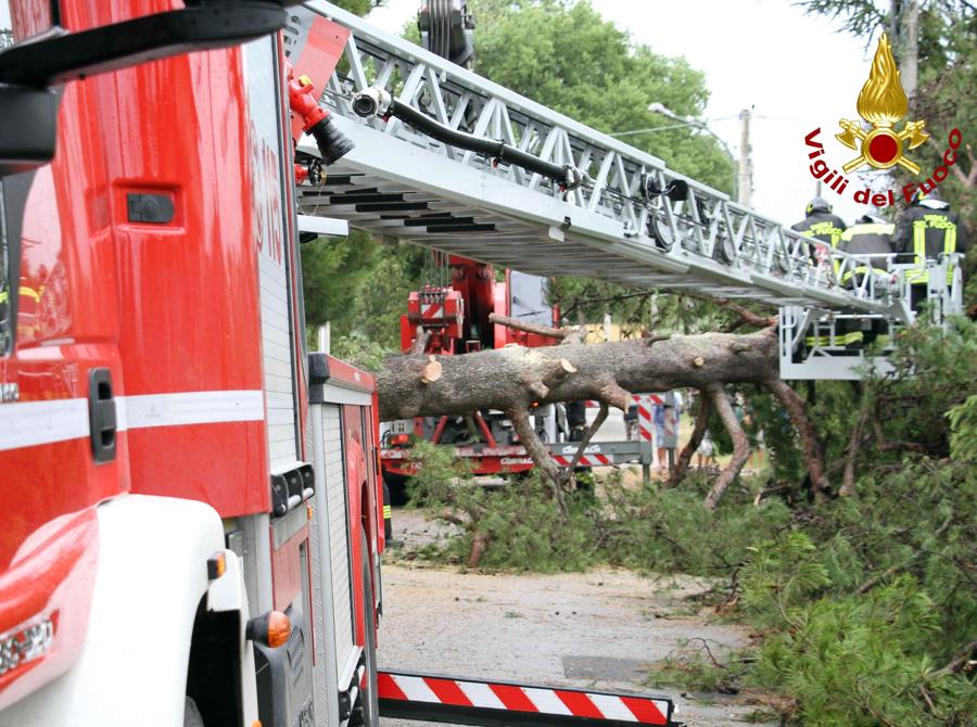I danni provocati dal maltempo che ha colpito violentemente la provincia di Ancona, 10 luglio 2019. (ANSA/ VIGILI DEL FUOCO)