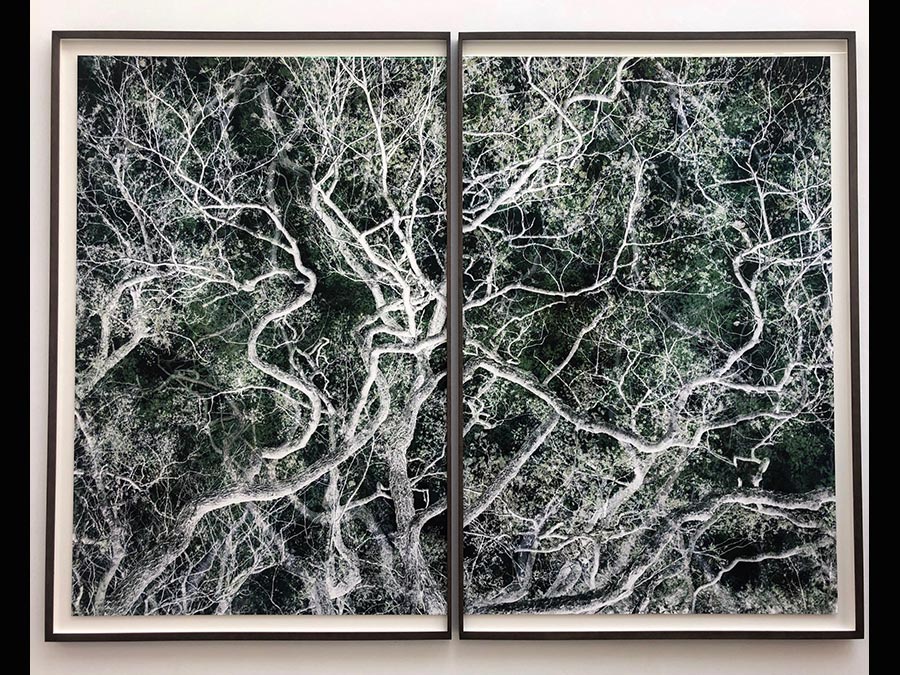 Santeri Tuori allo stand di Persons Projects a Chart 2019. La galleria Persons Projects ha presentato a Chart 2019 una mostra sul tema della misurazione del tempo in rapporto alla natura. In mostra c'erano fotografie concettuali di diversi artisti della galleria tra cui l'opera raffigurata di Santeri Tuori, realizzata sovrapponendo diversi scatti dello stesso luogo fotografato per quattro anni di seguito (prezzo 18.000 euro). L'artista sarà esposto (insieme a Ilkka Halso della galleria) nella mostra “Tree Time”, a cura di Andrea Lerda e Daniela Berta al Museo Nazionale della Montagna di Torino durante Artissima.