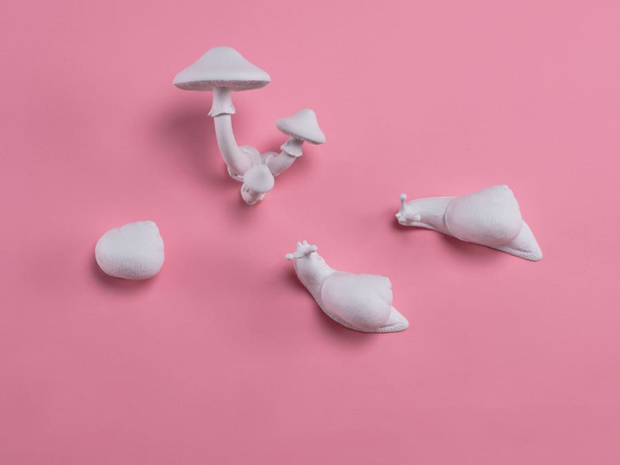 Germogli, di Marcantonio per Seletti. Appendiabiti da attaccare alle pareti o da inserire sullo schienale o sui braccioli della poltrona o del divano Botanical Diva, sempre di Marcantonio per Seletti.