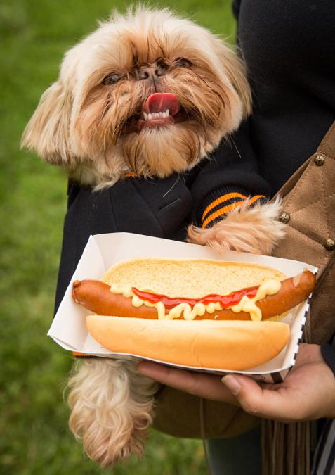 Hot dog a colazione  a New York (Ansa)
