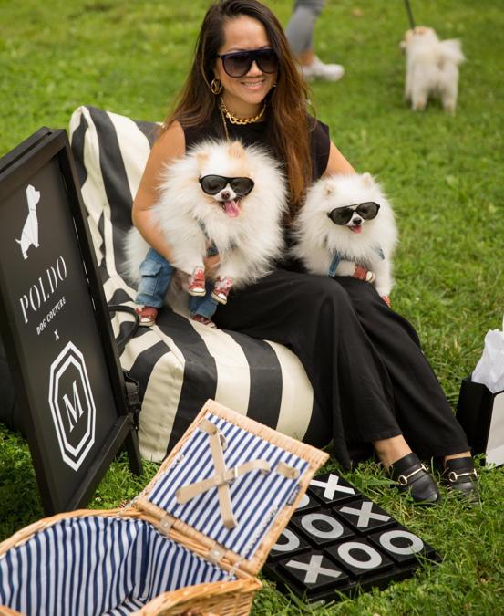 Ospiti pelosi all'evento a Central Park, New York (Ansa)