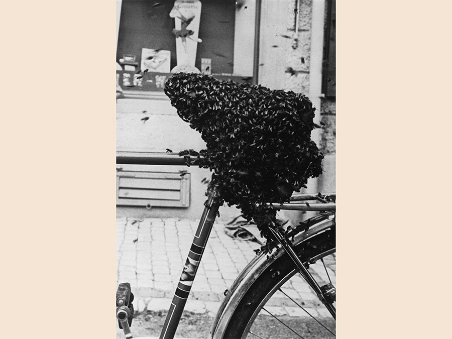 Meret Oppenheim, Bycicle Seat Covered with Bees, 1952, cm 17 x 11, courtesy Levy Galerie, Hamburg, © Meret Oppenheim by Siae 2019