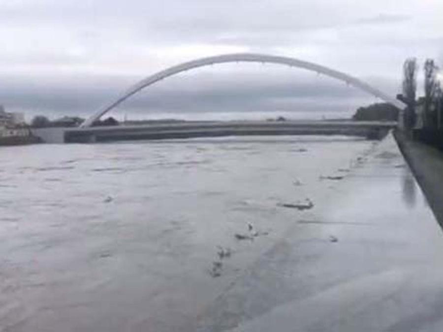 Il fiume Tanaro in provincia di Alessandria. (ANSA)