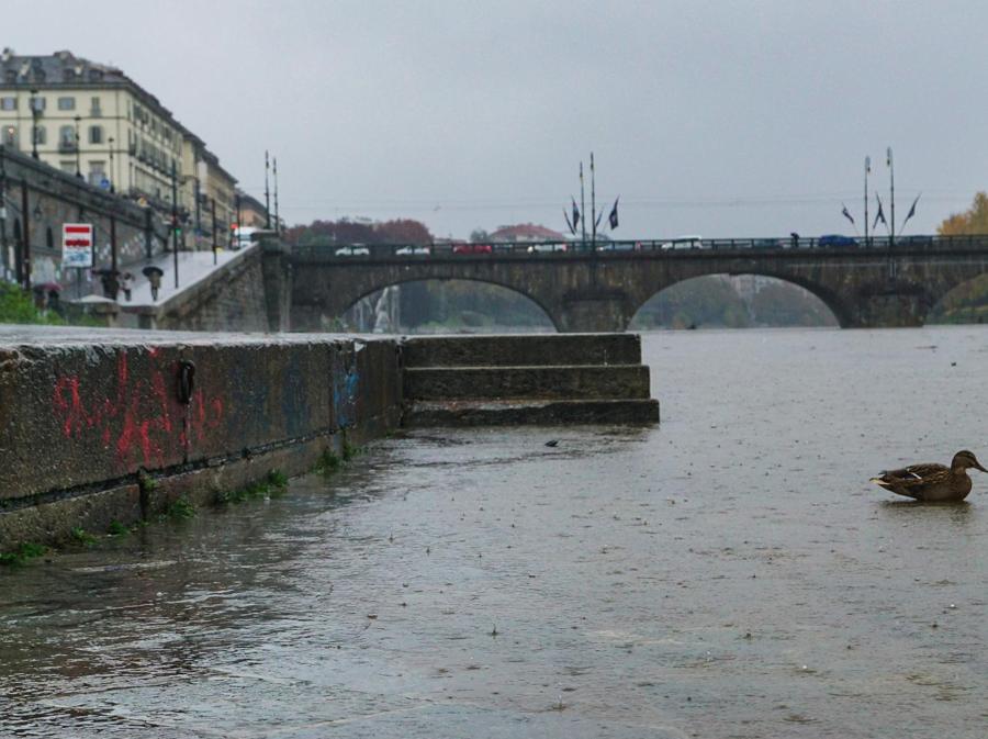 Il fiume Po in zona Murazzi a Torino. Il Po si è gonfiato di circa un metro nelle ultime 24 ore per effetto delle condizioni climatiche straordinarie. (ANSA/TINO ROMANO)