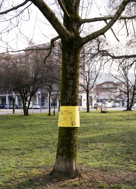  ANSA/ FILIPPO VENEZIA