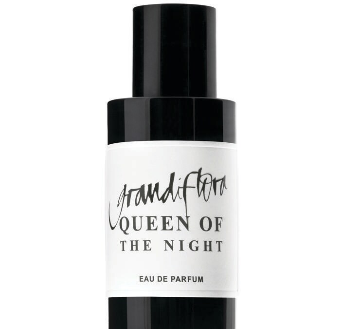 cale-grandiflora-queen-of-the-night 
