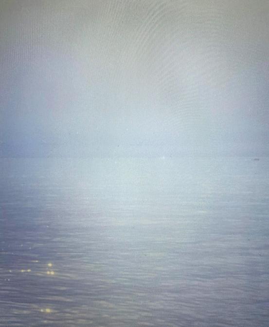 Alba Zari, “I Am Verical”, 2020. Courtesy: MiBACT/DGCC, Triennale Milano, MUFOCO