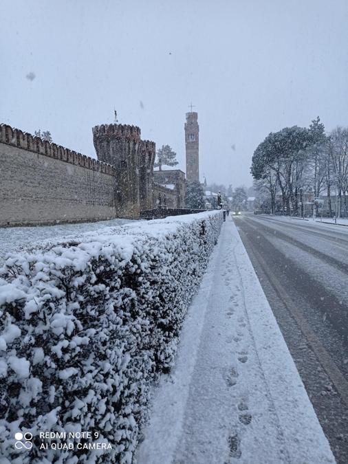 Un particolare del Castello di Roncade a Treviso, 28 dicembre 2020. ANSA/Gianni Favero