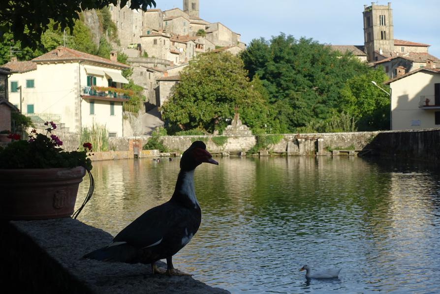 Santa Fiora, la Peschiera
