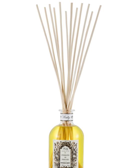 Wally 1925, Cedrato di Firenze, il cedro introdotto nella collezione di agrumi dei Giardini Medicei proviene dalle campagne di Pietrasanta ed il più odoroso e soave tra tutti i limoni