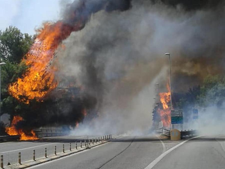 (Ansa / Lorenzo Dolce)