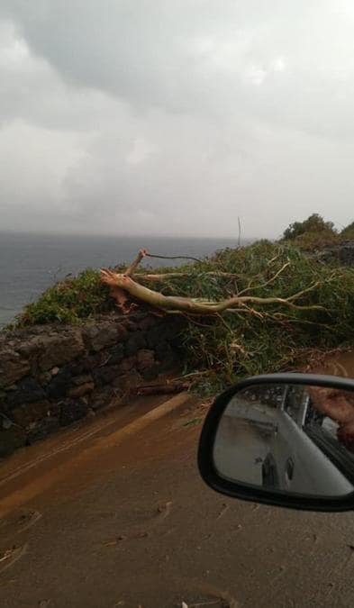 (Ansa / Ufficio stampa Protezione civile)