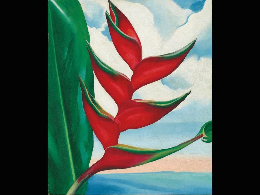 Georgia O’Keeffe, «Crab's Claw Ginger Hawaii», 1939.