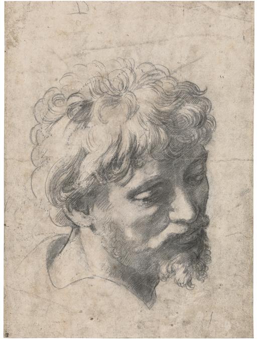 Raphael, Study for the Head of an Apostle in the Transfiguration - Private Collection, New York  (© Private Collection) - Photographed by Tim Nighswander/IMAGING4ART