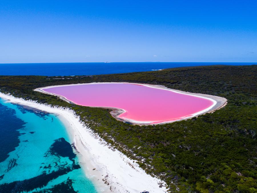 Aerial view of Lake Hillier, Middle Island near Esperance