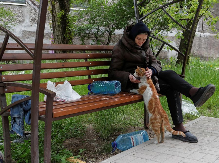Un residente locale siede su una panchina vicino a un gatto in un cortile nel corso del conflitto Ucraina-Russia nella città portuale meridionale di Mariupol. REUTERS/Alexander Ermochenko