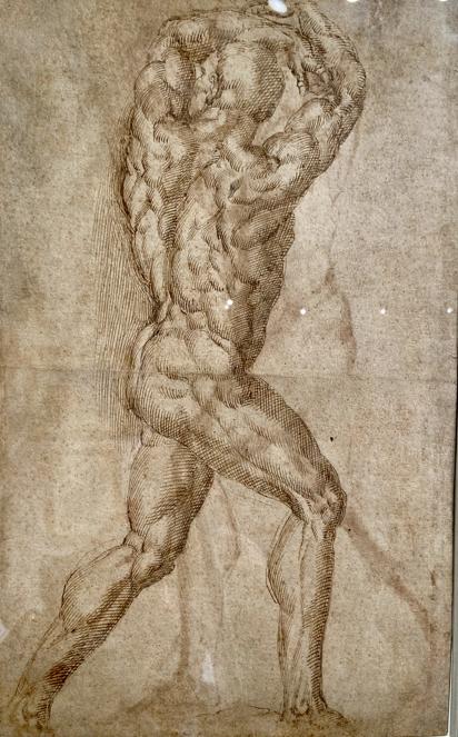 Baccio Bandinelli - Studio di figura maschile (1530-1540) - Galerie Terrades