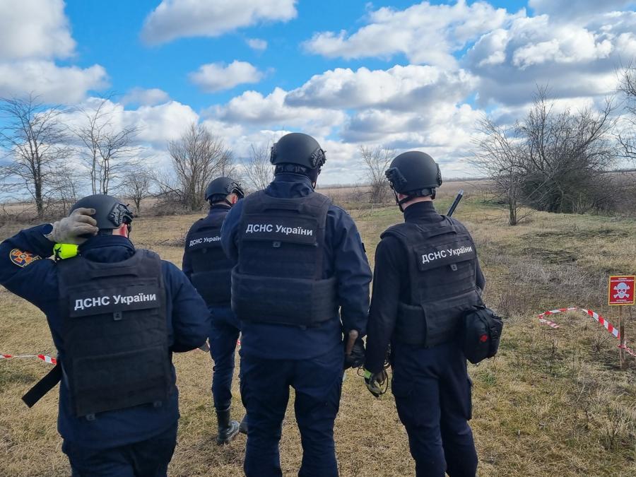 (foto di Roberto Bongiorni)