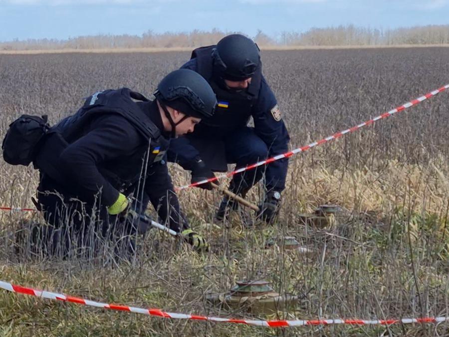 (foto di Roberto Bongiorni)