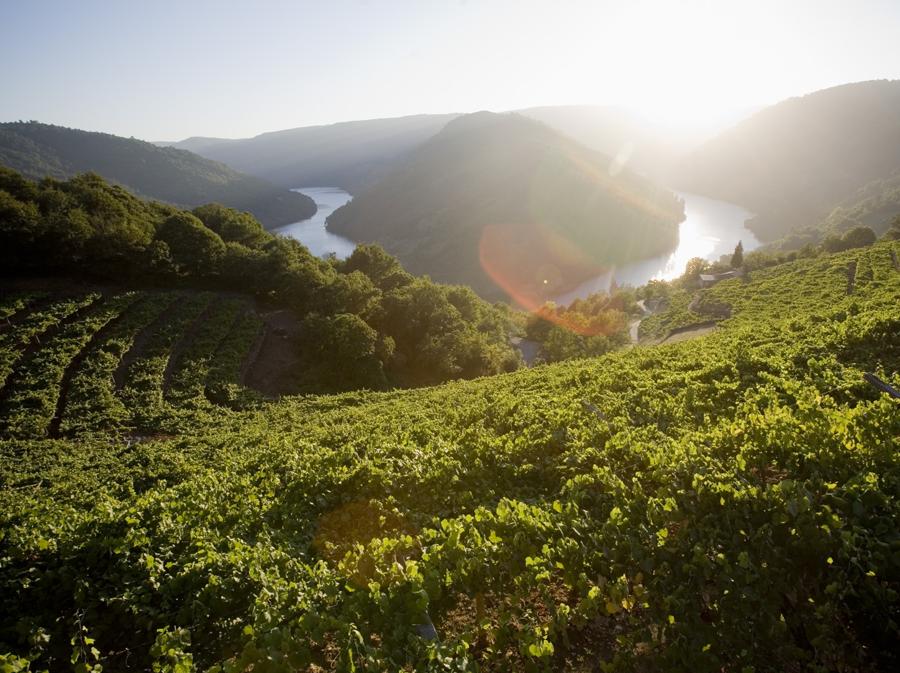 Ribeira sacra (Turismo de Galicia)