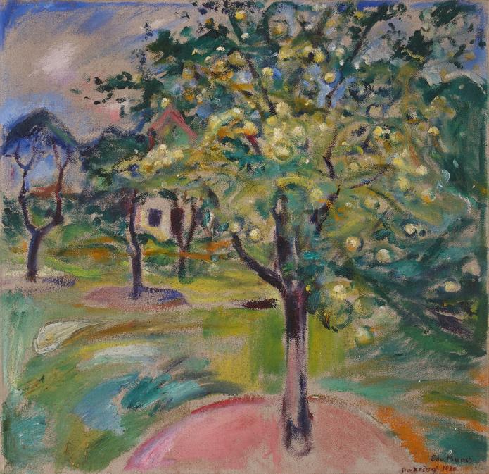 Property from an Important New York Collection Edvard Munch (1863 - 1944) Epletre i hagen på Ekely (Apple Tree in the Garden at Ekely) signed Edv. Munch and dated omkring 1930 (lower right) Oil on canvas,70 by 72.3 cm. 27½ by 28½ in. Executed in 1928-29.Estimate: 600,000 - 800,000 GBP 