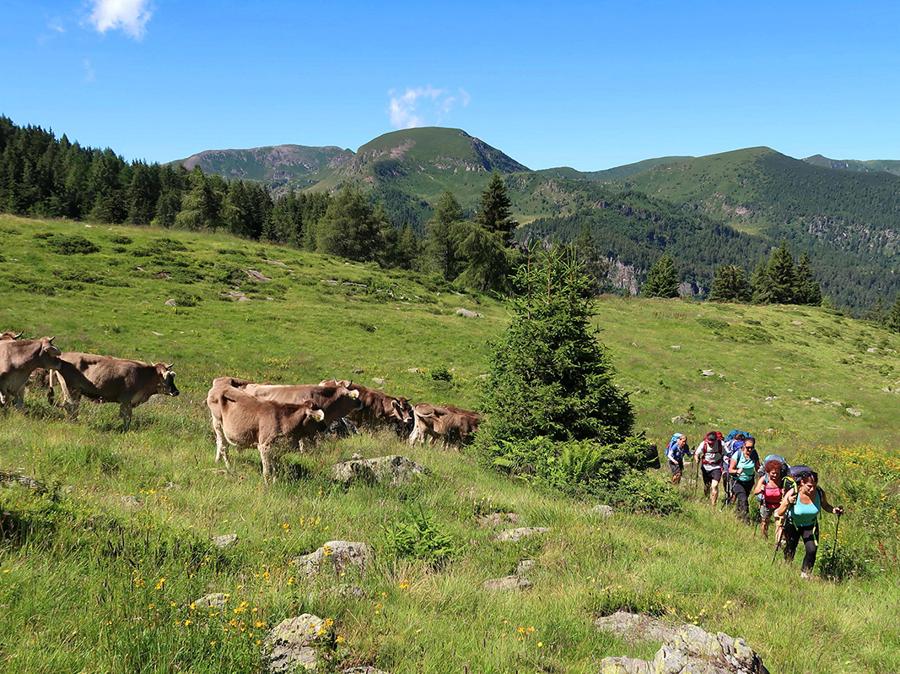 Esplorazioni tra i Silter (Foto di Franco Michieli)