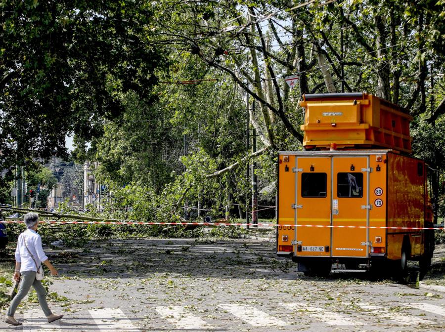 Caos maltempo, albero caduto in piazzale Accursio a Milano (Ansa/Mourad Balti Touati)